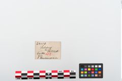 Etiketten zu Bronzebrillenfibel (NHMW-PRAE-024118)